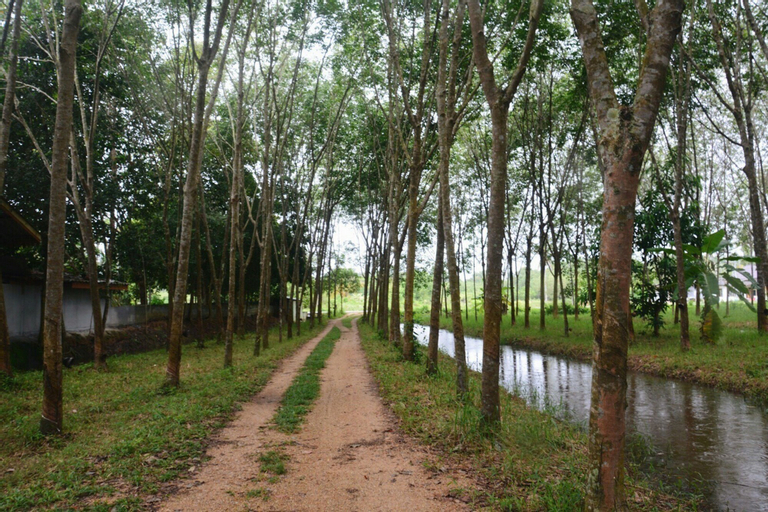 Phetthongtan Garden, Rattaphum