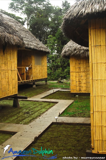 Amazon Dolphin Lodge, Shushufindi