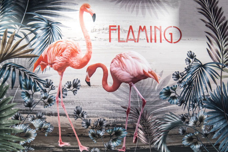 Others 4, Flamingo Residence, Antalya