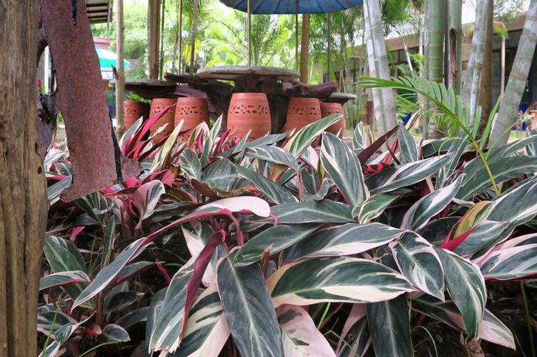 The Picturebook Guesthouse, Mae Sot