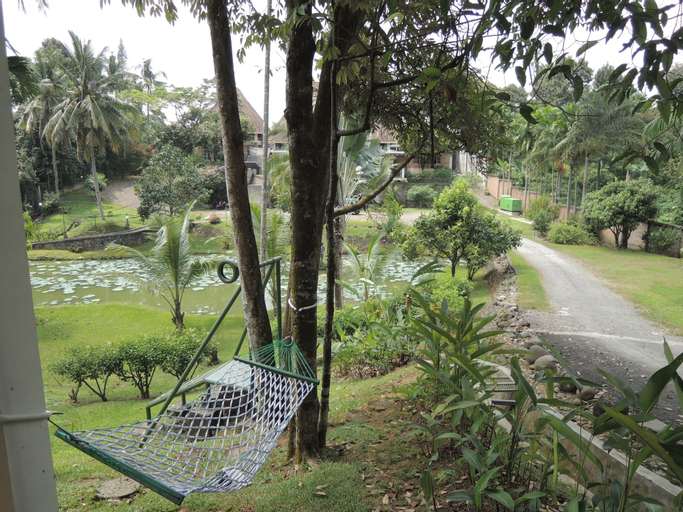 Scenery 12