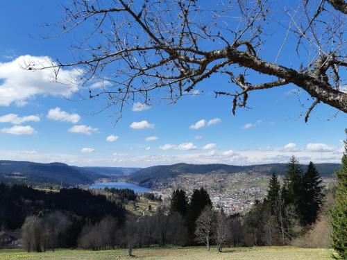 Studio des Gouttridos, Vosges