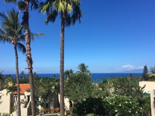 Palms at Wailea #1101, Maui