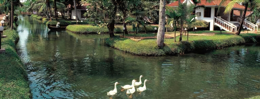 Others, Club Mahindra Kumarakom, Kottayam