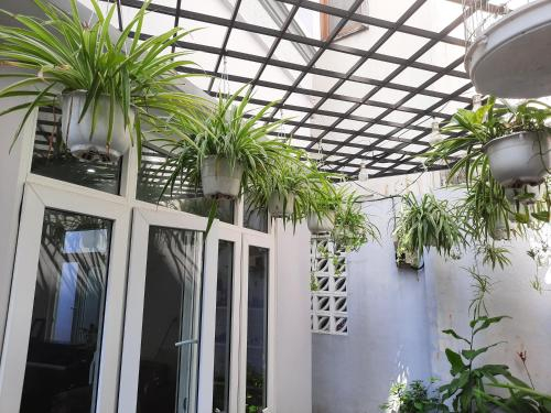 DINO HOUSE DA NANG, Thanh Khê