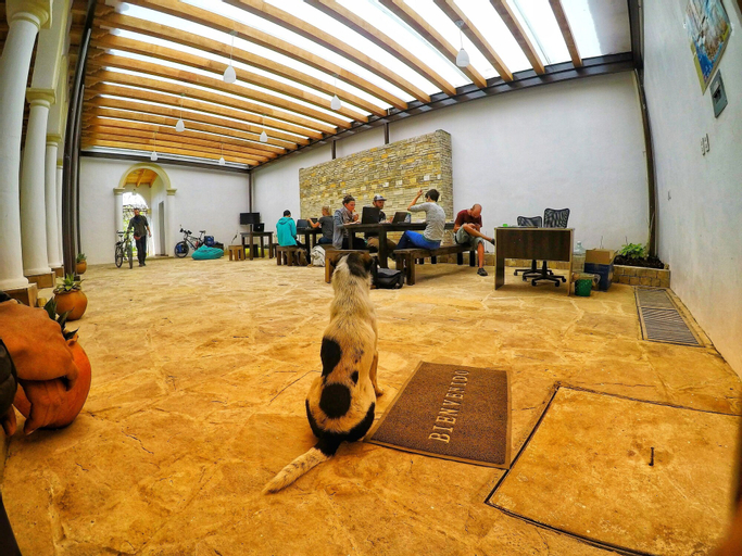 Panda Hostel, San Cristóbal de las Casas