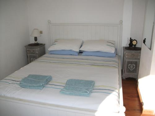 41 Rue Du Doctor Albert Tomey, Aude