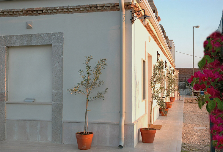 The Olive Inn, Foggia