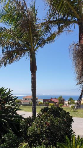 Palm View, Cacadu