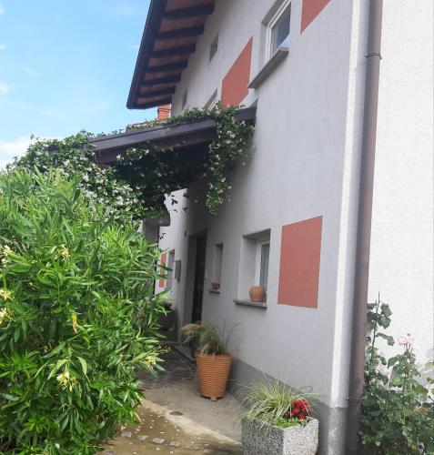 Country house, Nova Gorica