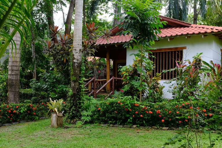 Exterior & Views 2, La Palapa Eco Lodge Resort, Aguirre