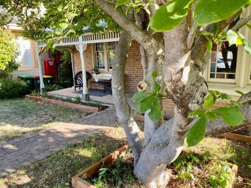 SUMMER HOUSE - CENTRAL LOCATION Near PARK, Orange