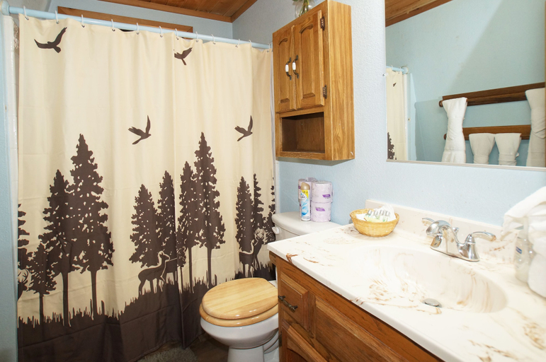 Bathroom 3, Mountain Bliss, San Bernardino