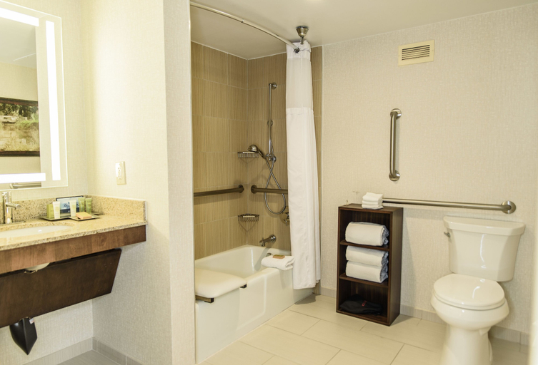 Bathroom 4, Hilton Houston Galleria Area, Houston