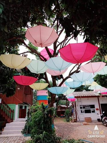 อินทนนท์ กาเดียน เฮ้าร์, Chom Thong
