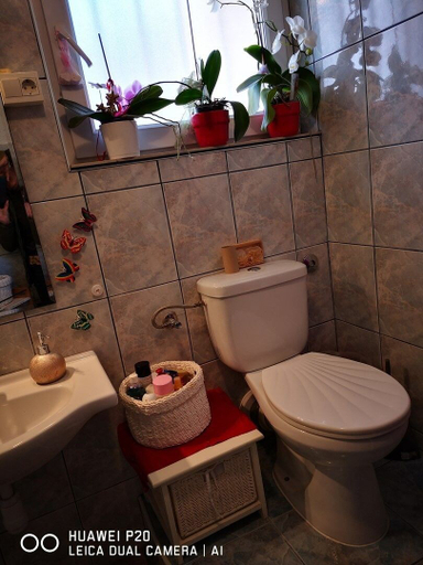 Bathroom 4, Apartments Bingo / One Bedroom, Split