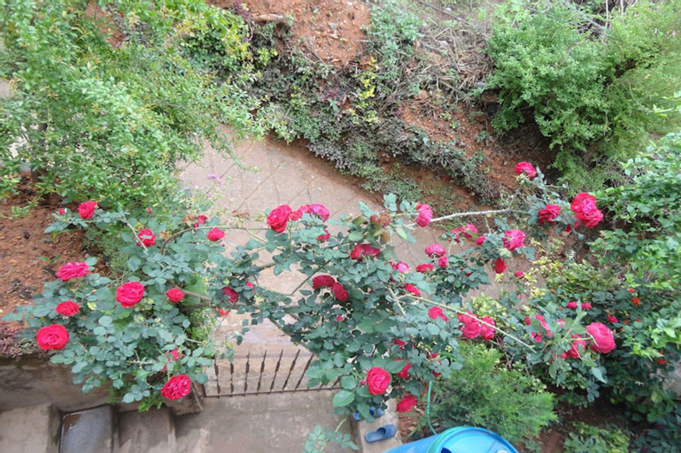 Horizon Homestay, Lumbini