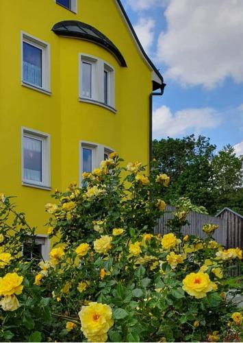 Haus Herzog, Hof