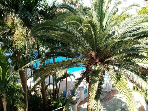 Bel Air Private Condominium, Gold Coast