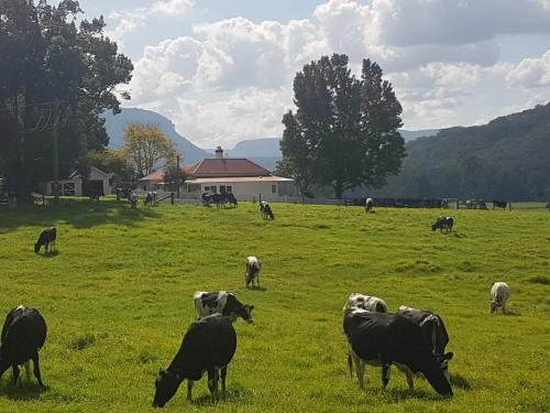 Glenmurray - Country farm stay!, Shoalhaven - Pt B