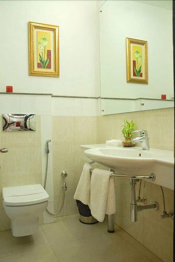 Bathroom, Iris Park Delhi, Delhi