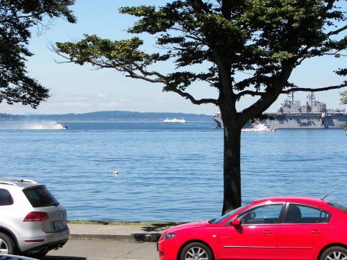 ALKI Magpie, King