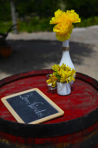 Quinta do Olival, Arcos de Valdevez
