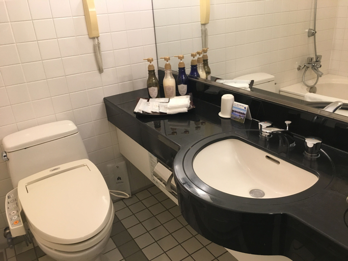 Bathroom 17