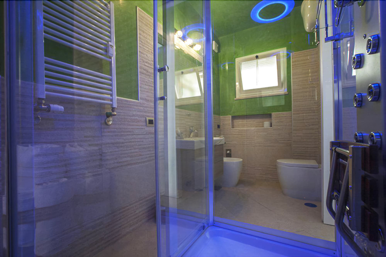 Bathroom 4, Rogiual, Roma