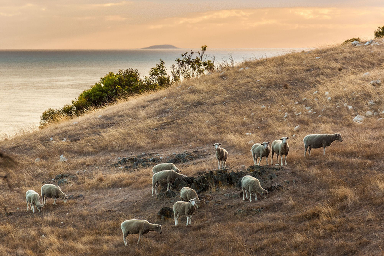 Others 5, Antechamber Bay Retreats, Kangaroo Island