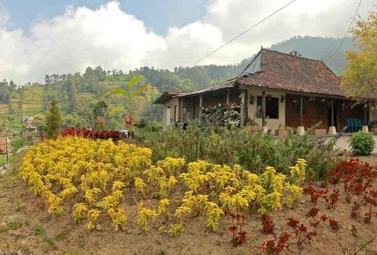 Pangol Hill Camp Center, Bantul