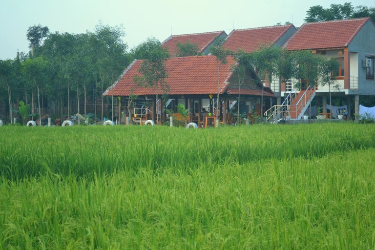 Sy's Homestay, Bố Trạch