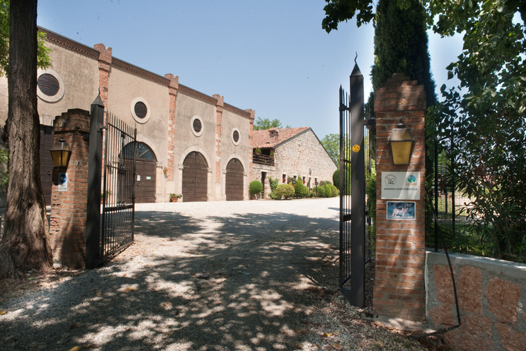Exterior & Views 2, I Costanti, Verona