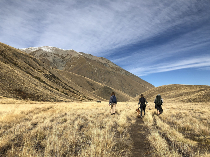 Tailor Made Tekapo Backpackers, Mackenzie