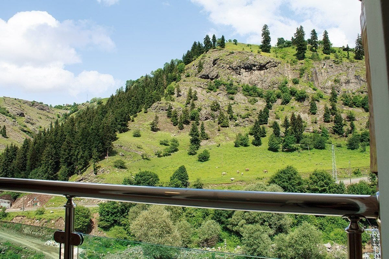 Green Valley Savsat, Şavşat
