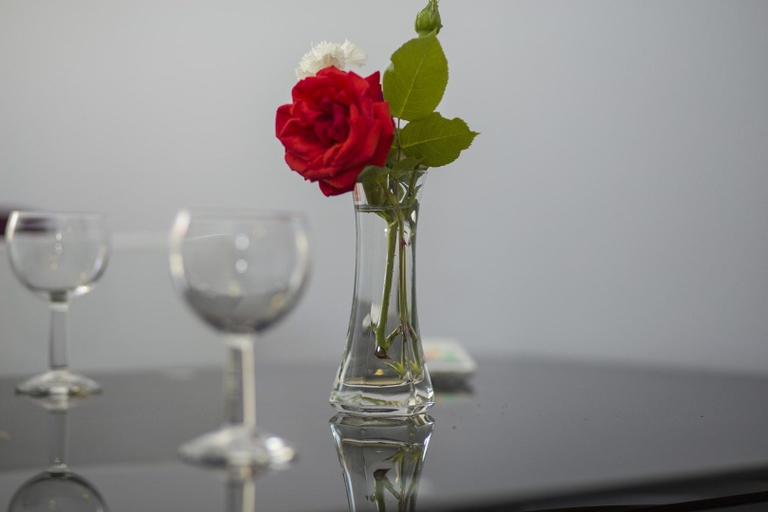 Food & Drinks 4, Apartments Zazah, Ližnjan