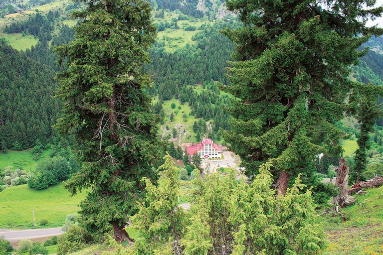 Green Valley Savsat, Şavşat