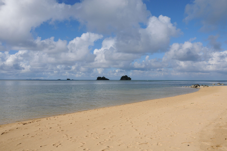 Coconut Grove Beachfront Cottages, Cakaudrove