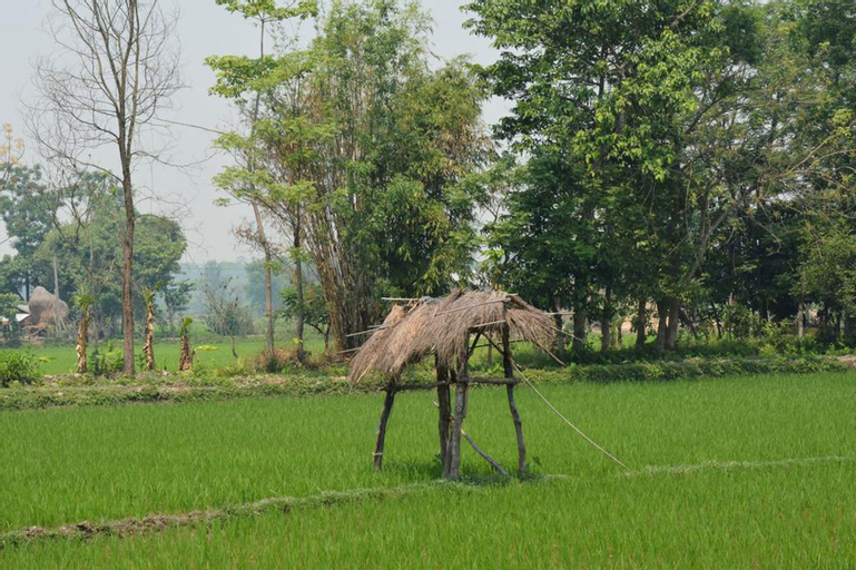 Barauli Community Homestay, Lumbini