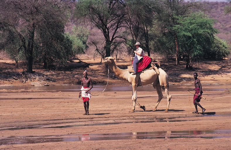 Samburu Intrepids Tented Camp, Isiolo North