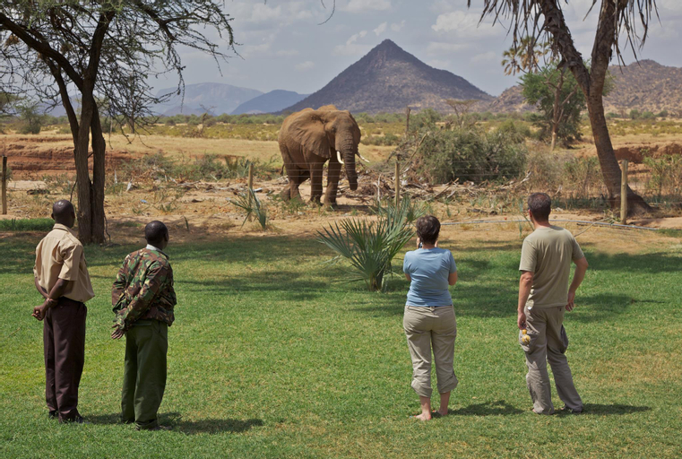 Ashnil Samburu Camp, Isiolo North