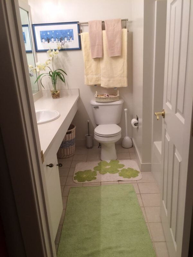 Bathroom, 597a Topnotch, Lamoille