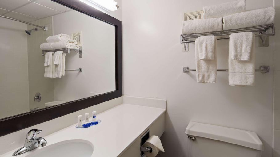 Bathroom 4, Albany Airport Inn, Albany