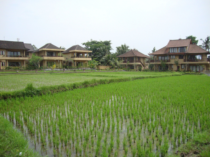 Scenery