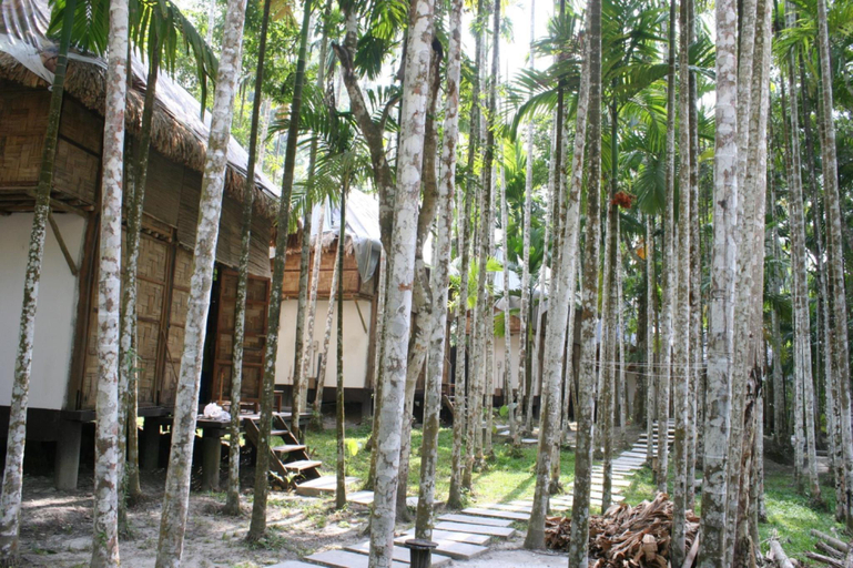 Exterior & Views 5, The Forest Elephant - Formerly known as the Flying Elephant, South Andaman
