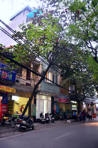 Bee House near Hanoi Opera House, Hoàn Kiếm