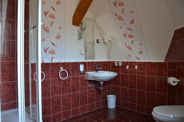 Bathroom 4, Pension Arietta, Vogtlandkreis