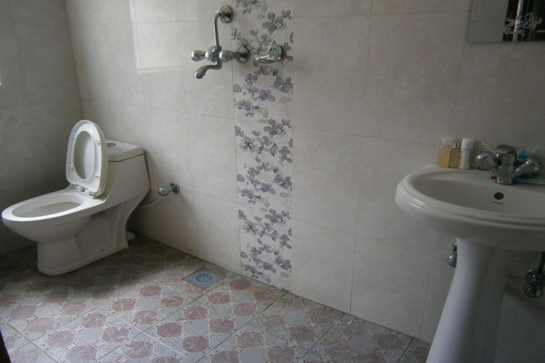Bathroom 5, The Sparkling Turtle Backpackers Hostel, Bagmati