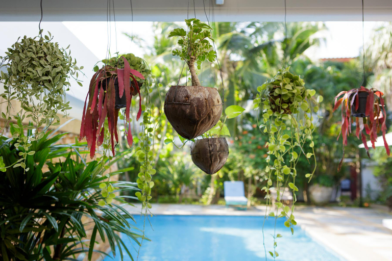 Others, Elysia Boutique Resort, Ko Samui