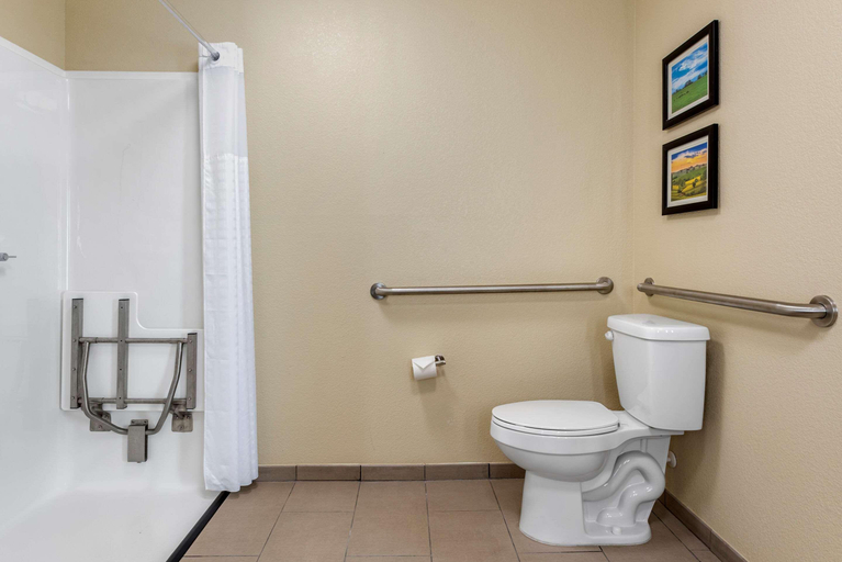 Bathroom 4, Comfort Suites, Grant